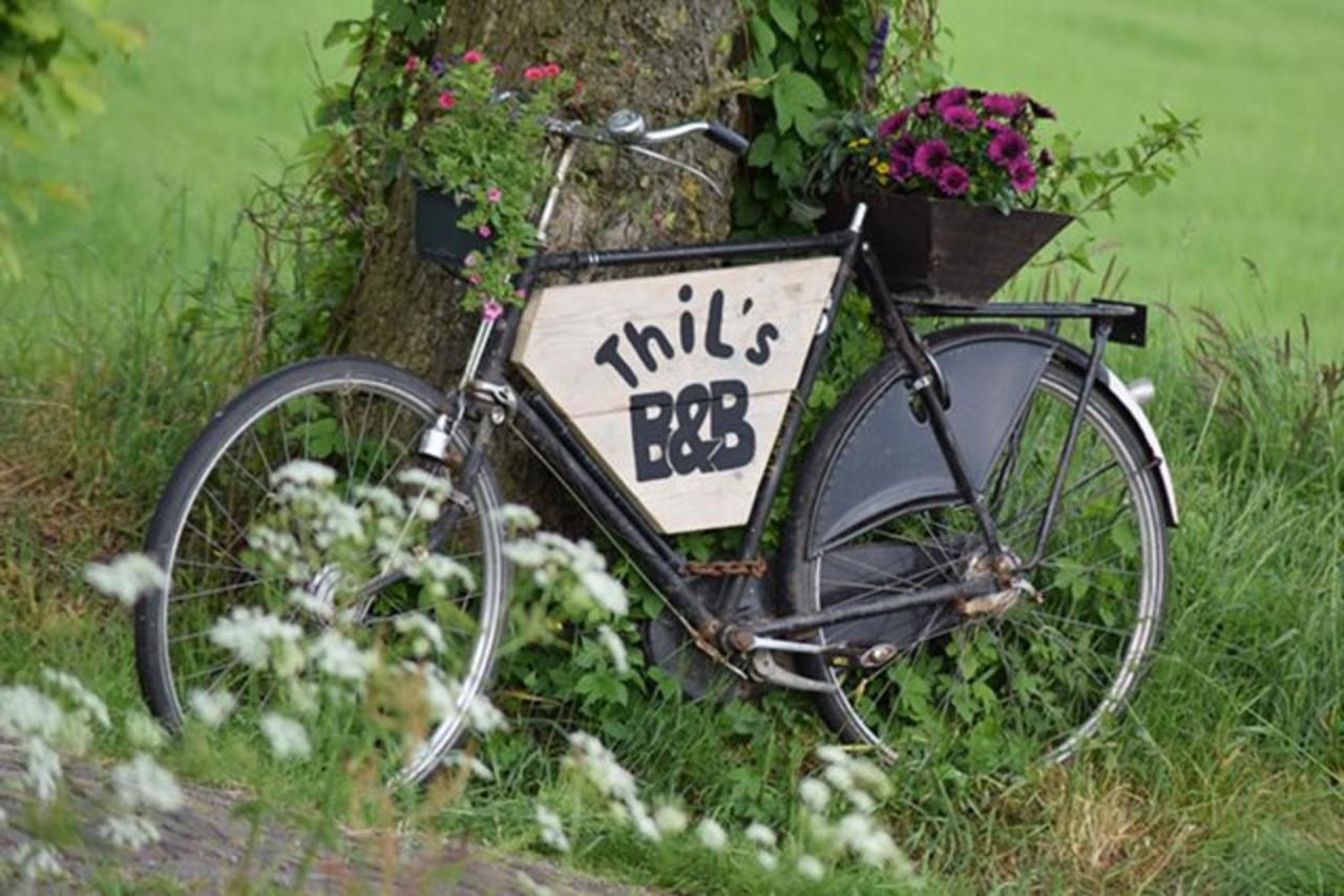 Thil'S Bed And Breakfast Ambt Delden Экстерьер фото